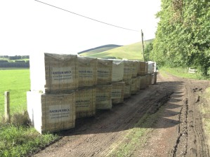 Bricks unloaded, lined up, ready for building